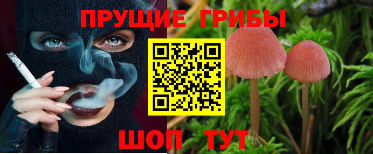 Галлюциногенные грибы ЛСД Междуреченск