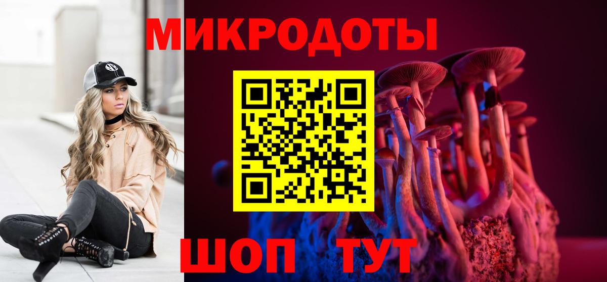 Галлюциногенные грибы GOLDEN TEACHER  Псилоцибиновые грибы Magic Shrooms  Междуреченск  цены   Вход с VPN 